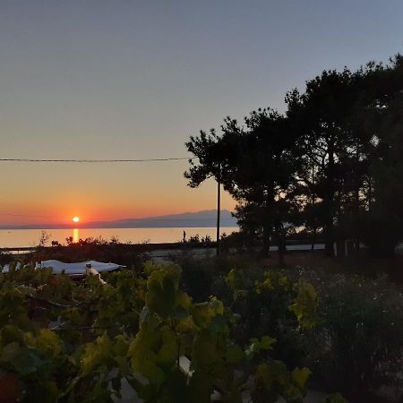 Το Σπίτι Με Το Πηγάδι - Wellcottage Thassos Skála Kallirákhis Buitenkant foto