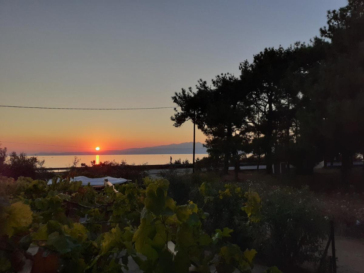 Το Σπίτι Με Το Πηγάδι - Wellcottage Thassos Skála Kallirákhis Buitenkant foto