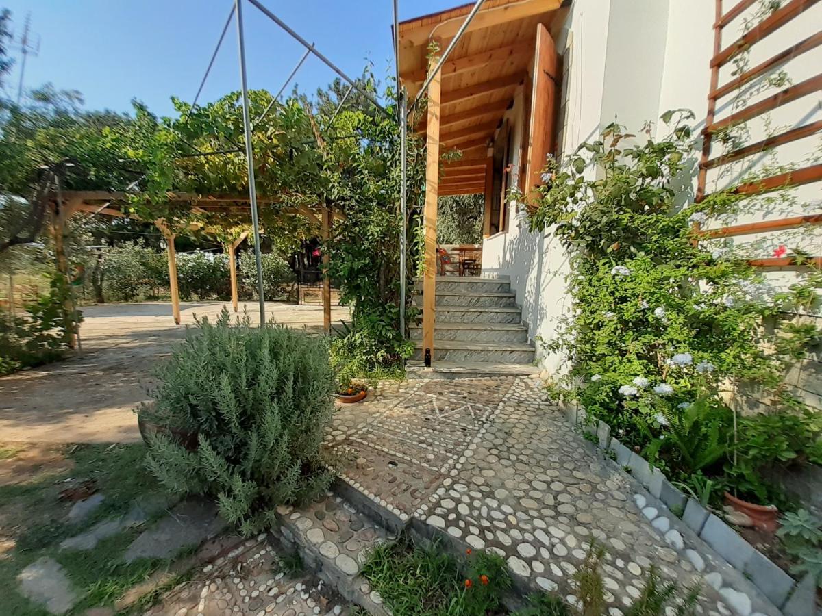 Το Σπίτι Με Το Πηγάδι - Wellcottage Thassos Skála Kallirákhis Buitenkant foto