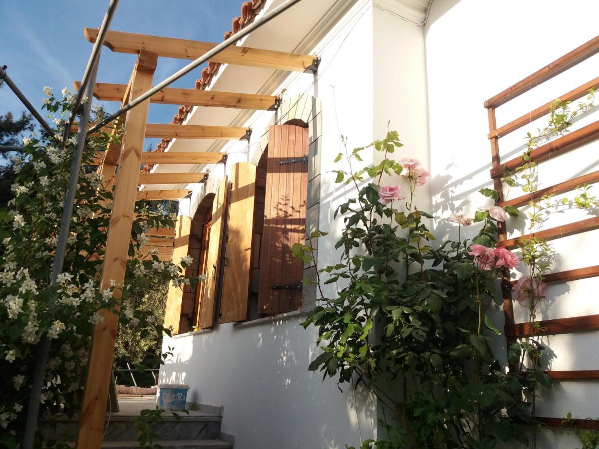 Το Σπίτι Με Το Πηγάδι - Wellcottage Thassos Skála Kallirákhis Buitenkant foto